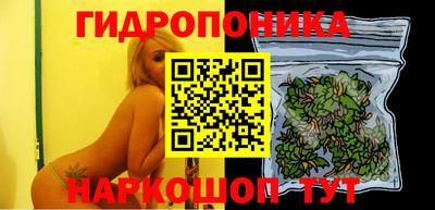 спиды Можга