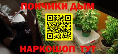 спиды Можга