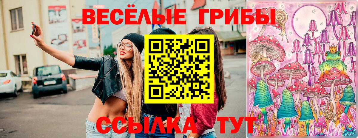 Бошки Шишки  Гашиш  Мефедрон   Заволжье  ГАШИШ  Вход с VPN 