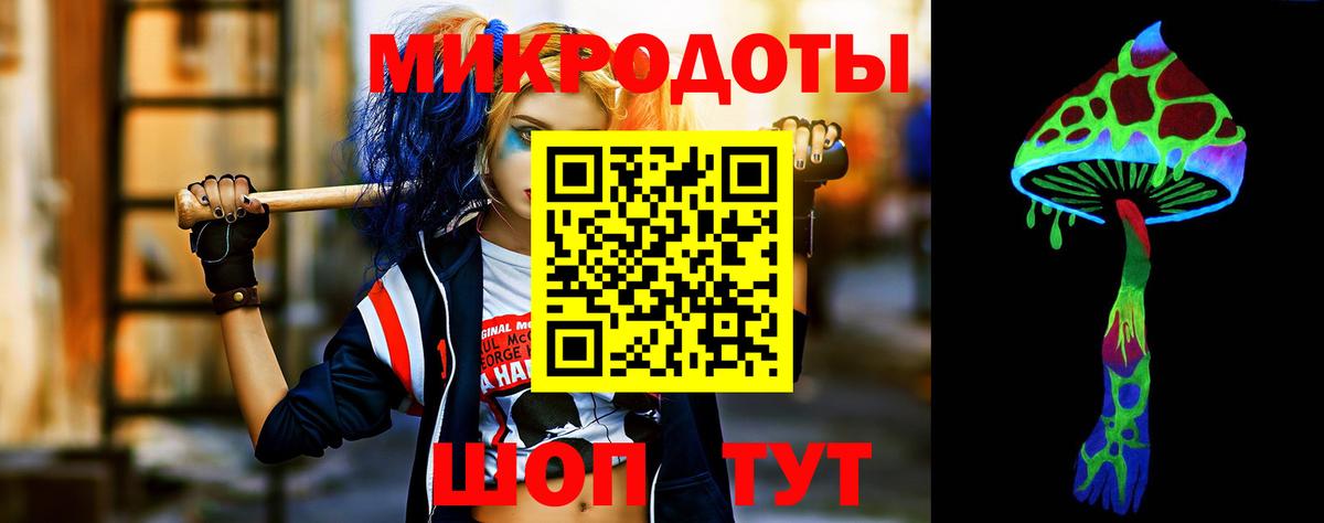 Галлюциногенные грибы Psilocybe  Псилоцибиновые грибы мицелий  Заволжье  Вход с VPN 